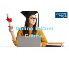 Excel in Commerce with Online Bcom Course