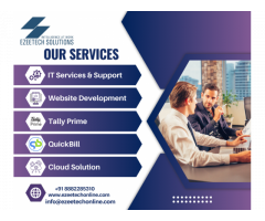 Best IT Software And Website Development Service In New Delhi