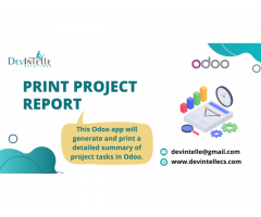 Print Project Report in Odo