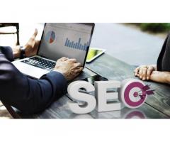 Best SEO Service Provider in Delhi