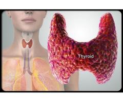 Hypothyroid  Ayurvedic Doctors | Ayurvedic Thyroid Disorders - Image 2/2