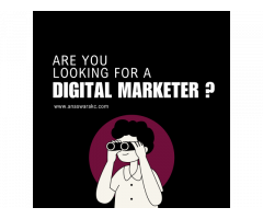 Best digital marketing strategist in kannur