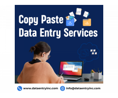 Best Copy Paste Data Entry Services in India
