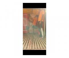 Smart and Efficient Moving Services in Noida