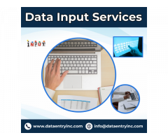 Best Data Input Services in India