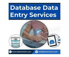 Best Database Data Entry Services in India