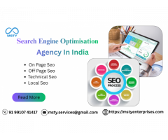 How a Search Engine Optimisation Agency in India Helps You Rank