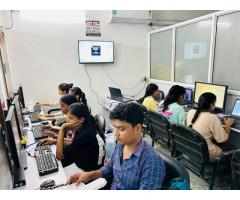 Softech Study - Digital Marketing and It Training Institute