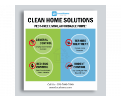 Pest Control Service by LocalRamu to Eliminate Pests from home in Bangalore