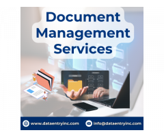 Best Document Management Services in India