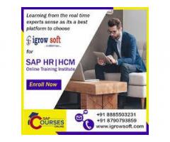 SAP HR Online Training in Hyderabad | Igrowsoft