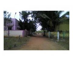 Nemili park in Sriperumbudur (Nemili) - Image 2/2