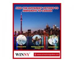 Best immigration Visa Consultant in India for Canada - Image 2/2