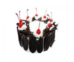 Best Quality Cakes Online Coimbatore - Friend In Knead - Image 3/4