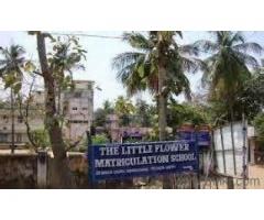 30 Feet Road in Residential plot sale - Image 2/2