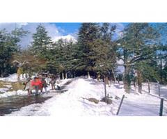 Best Himachal Tour Package - chandigarhtaxiwala.com - Image 1/3