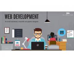 Custom Website Design & Development Company in India - Image 2/2