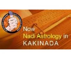 Siva Nadi Astrology in Kakinada - Image 2/2