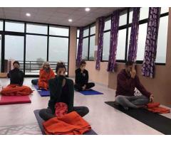 200 Hour Yoga Teacher Training Course In Rishikesh,India - Image 2/3