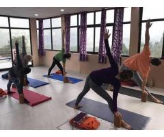 200 Hour Yoga Teacher Training Course In Rishikesh,India - Image 3/3