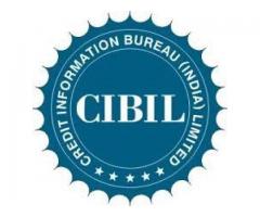 Check your CIBIL Score instantly - Image 2/4