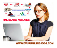 Guaranteed Income Data Entry with Bonus Free Jobs Pack - Image 1/2