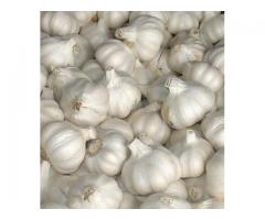 Top quality Garlic for sale - Image 1/2