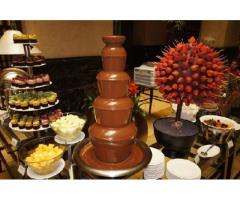 Yummy Chocolate Fountain With cookies | Contact | 8288980007, Chandigarh - Image 1/2