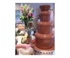 Outdoor Fancy Ripple Chocolate Fountain on Hire | punjab, Chandigarh - Image 1/2