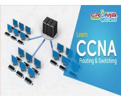 CCNA Training in Noida - Image 1/2