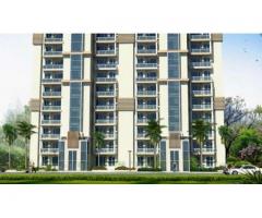 3 BHK in Emaar Gurgaon Greens @ 94.25 Lacs Only in Sector- 102 Gurgaon – Carnival Offer - Image 1/2