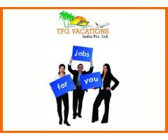 Tourism Company Hiring Candidates for Part Time Job - Image 1/4