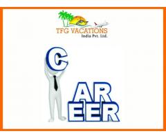 Internet Marketing Jobs For Fresher/Working Tourism Company - Image 2/4