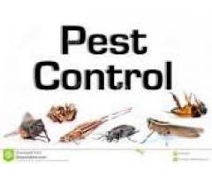 Pest Control Service in Kolkata - Image 2/2