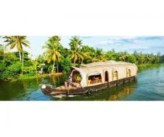 •	Green Kerala Tour Package - Image 4/4