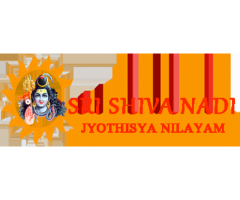 Find Best Nadi Astrology Center in Hyderabad Online - Srishivanadi - Image 1/2