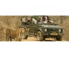 Rajasthan - Into The Wild (Online) 4 Nights 5 Days, Budget 24000 pp - Image 3/4