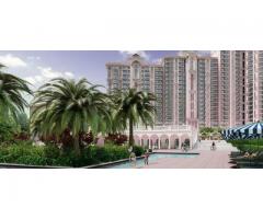 DLF Regal Gardens : Ready to move-in Apartments - Image 1/2