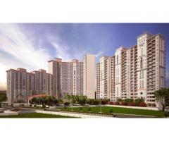 DLF Regal Gardens : Ready to move-in Apartments - Image 2/2
