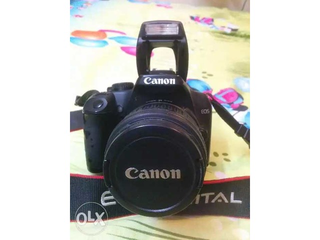 canon 1000d price olx