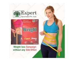 Weight Expert Advance Kit - Image 1/4