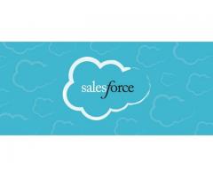 Best Salesforce training institute in noida - 1