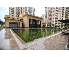 Emaar Palm Gardens  -  Ready to move 3BHK in 1.15 Cr . Only - Image 3/4