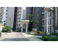 Ireo Victory valley : 3 BHK Luxury home in Gurgaon - 2
