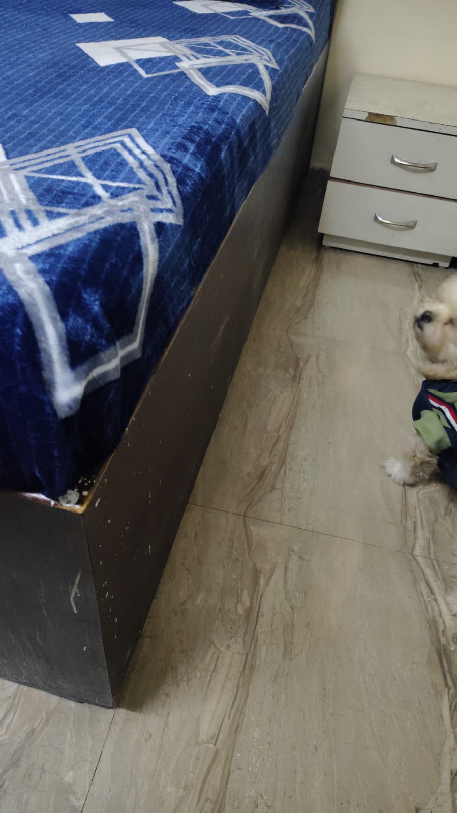 SINGLE BED 2 NOS WITH STORAGE AND 2 MATTRESS IS FOR SALE  - Thumbnail 4